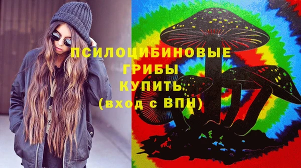 ешки Дмитриев