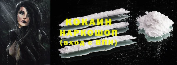 ешки Дмитриев