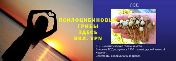 ешки Дмитриев