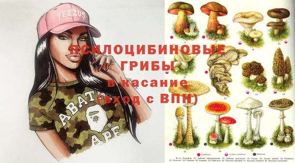 трава Дмитровск