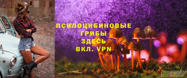 спайс Лагань