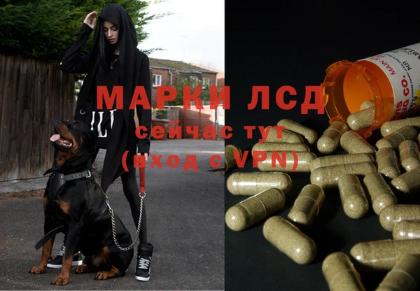 прущая мука Лабытнанги