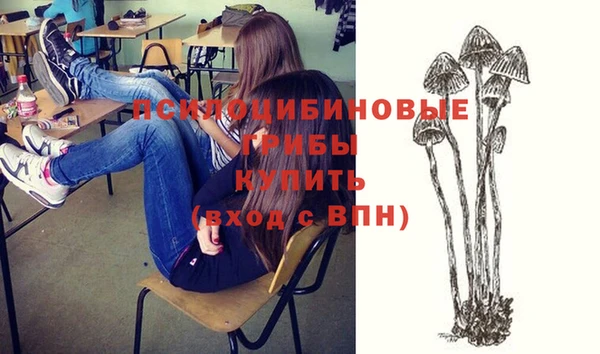 прущие крисы Дмитров