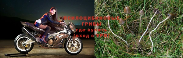 ешки Дмитриев