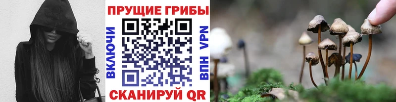 Псилоцибиновые грибы мицелий  кракен   Плавск 